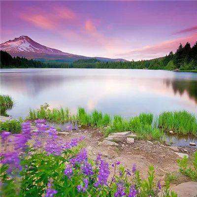 赢三张免费游戏下载手机版